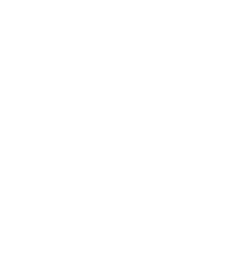 Copy icon